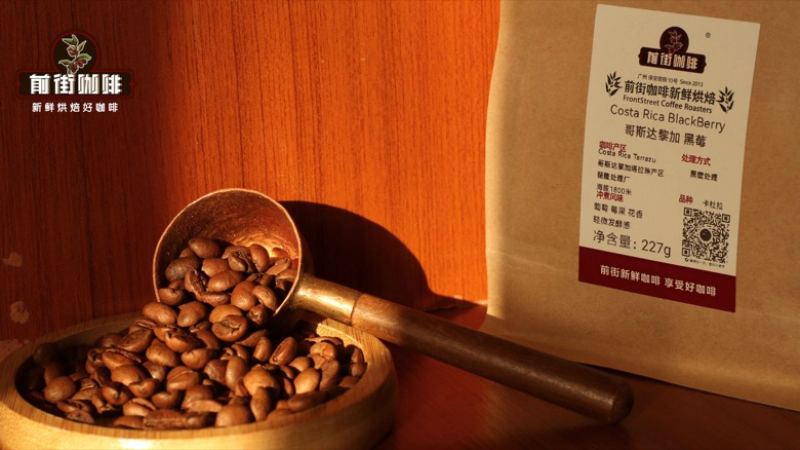 Three Sources of Floral Coffee: Variety, Processing, and Origin