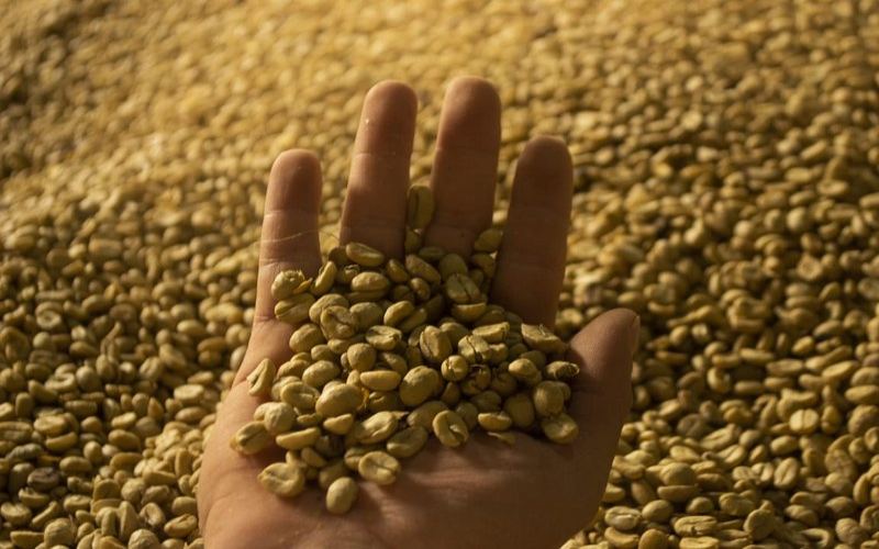 How to Choose Everyday Beans Under 100 Yuan: Find Your Perfect Cup by Roast Level