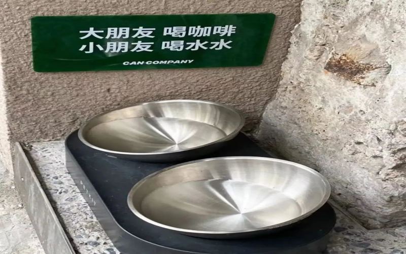 社区咖啡店经营指南：打造宠物友好型门店的加分技巧与注意事项