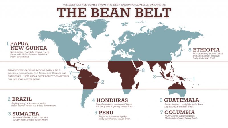 A Comprehensive Analysis of Arabica Coffee Beans: From Origins and Spread to Front Street Coffee's Seven Major Producing Regions' Daily Staple Bean Recommendations