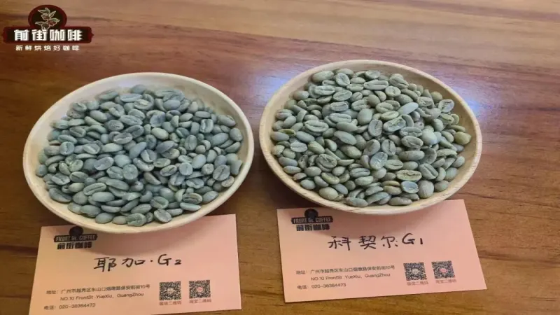 雨林联盟认证咖啡为何被叫作青蛙豆？蓝山咖啡风味与认证关系解析