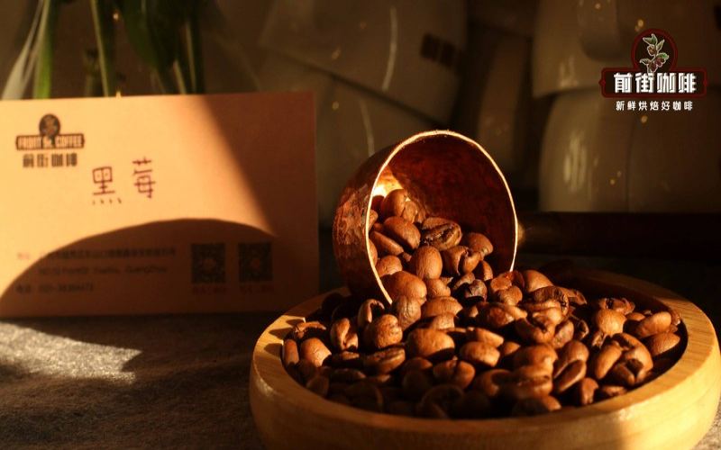 Recommend some beans for a Moka pot; I like medium-dark roasts: balancing budget and how often I drink it.