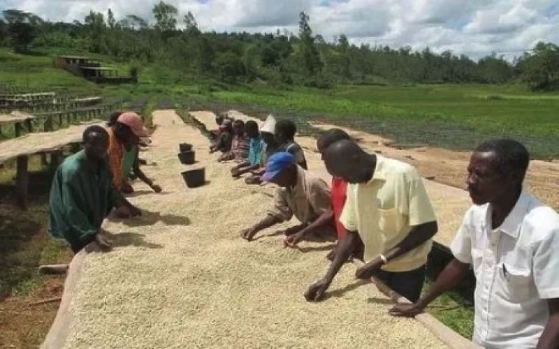 Officials of the African Coffee Association urged traders to specially handle the export of special processing method coffee.