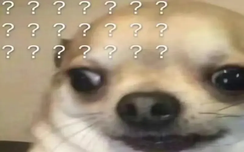 牙买加蓝山咖啡有何独特之处？从产区历史到风味档次的完整解读