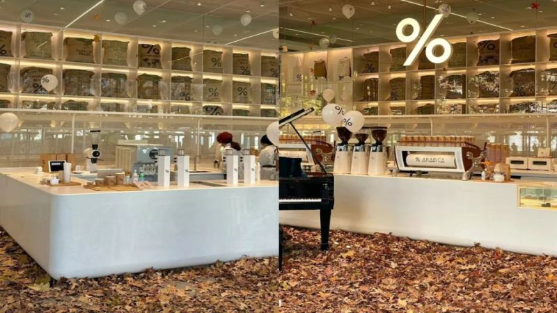 %Arabica杭州门店满铺枯叶引热议：秋日氛围营造与卫生安全如何两全