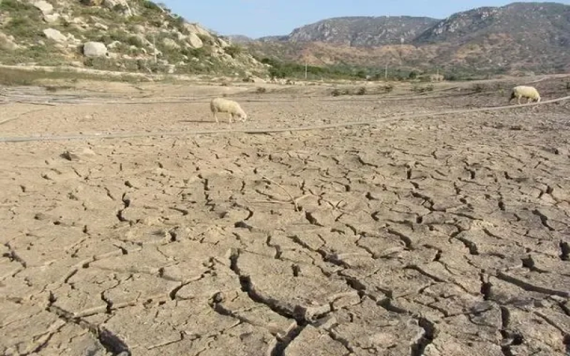 咖啡期货再度飙升：罗布斯塔突破4000美元，巴西越南天气隐忧加剧供应紧张