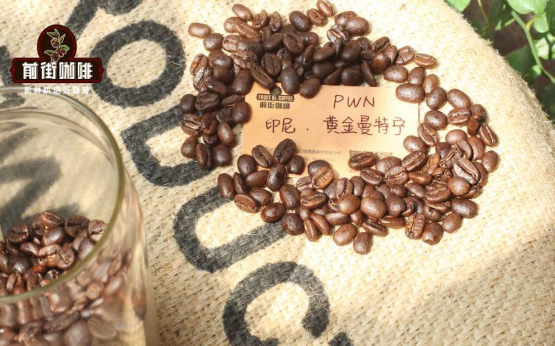 Indonesian Golden Mandheling Coffee Beans Origin and Flavor Analysis: Grade Standards, Wet-Hulling Process, and Front Street PWN Selection