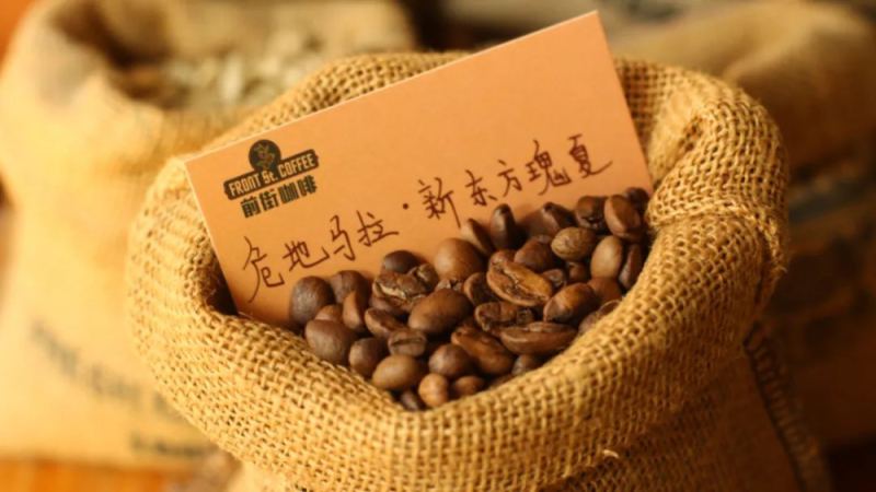危地马拉最年轻产区新东方：蜜处理瑰夏的风味密码与冲煮全解析