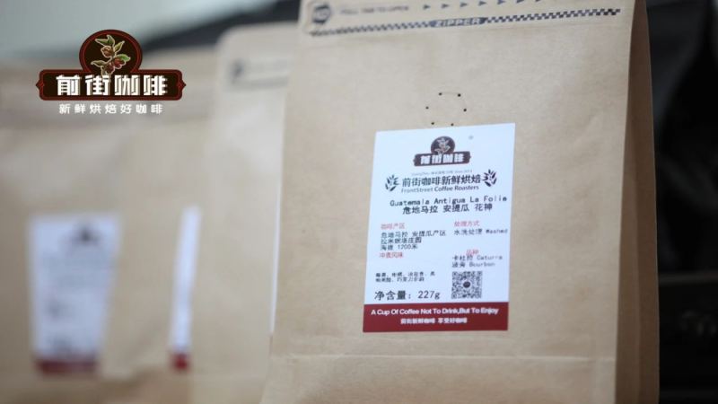危地马拉精品咖啡深度指南：安提瓜与薇薇特南果产区水洗豆风味及品种解析