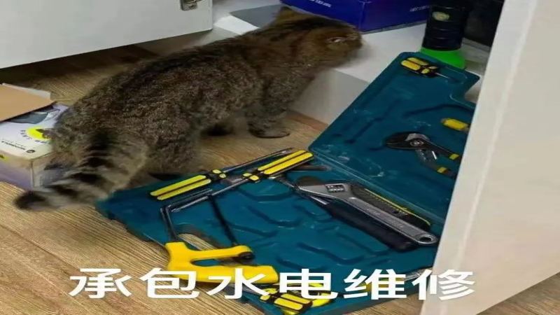 2023年中国咖啡市场趋势解读：咖啡师职业前景与转行入行实用分析