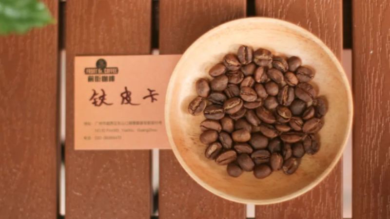 铁皮卡咖啡的全球传播史：从埃塞俄比亚到云南，蓝山与云南咖啡是否同源