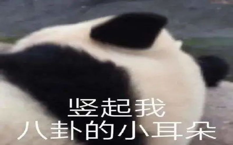 咖啡店靠什么留住回头客？五位常客分享真实体验与消费期待