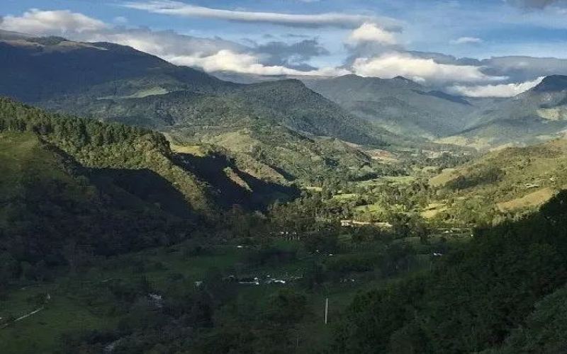 哥伦比亚咖啡产区分布与风味特征：安第斯山地微型庄园与扎卡丁案例解析