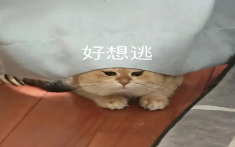 从出液状态判断浓缩咖啡萃取是否正常，以及萃取前需要检查哪些细节