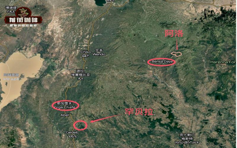 探秘埃塞俄比亚西达摩班莎Alo村：高海拔花香咖啡的风味与产地故事