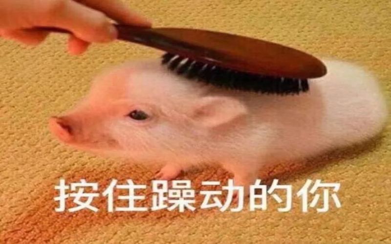 加盟咖啡店选什么品牌才可靠？前期投入究竟要花多少钱？