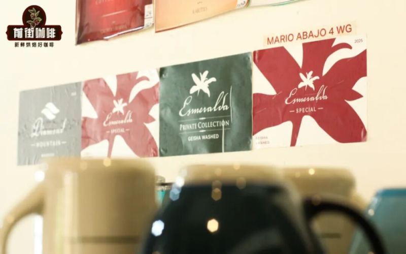 Panama Hacienda La Esmeralda Geisha Coffee Beans | What's the Difference Between Red Label Geisha and Green Label Geisha (Geisha) Coffee Beans? How Did Hacienda La Esmeralda Come to Grade Geisha Coffee?