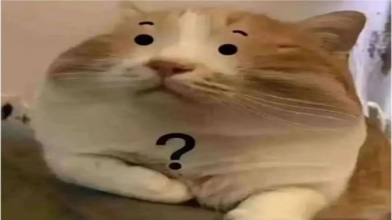 初次到咖啡馆如何从容点单？咖啡师推荐的入门选择与常见品类全解析