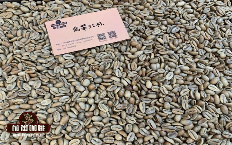 巴拿马瑰夏手冲水温与冲煮参数详解：冰手冲三段式做法分享