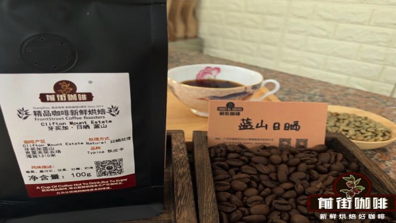 An In-Depth Analysis of Jamaican Blue Mountain Coffee: A Comprehensive Guide to Origin Terroir, Varieties and Grades, Processing Methods, and Pour-Over Parameters