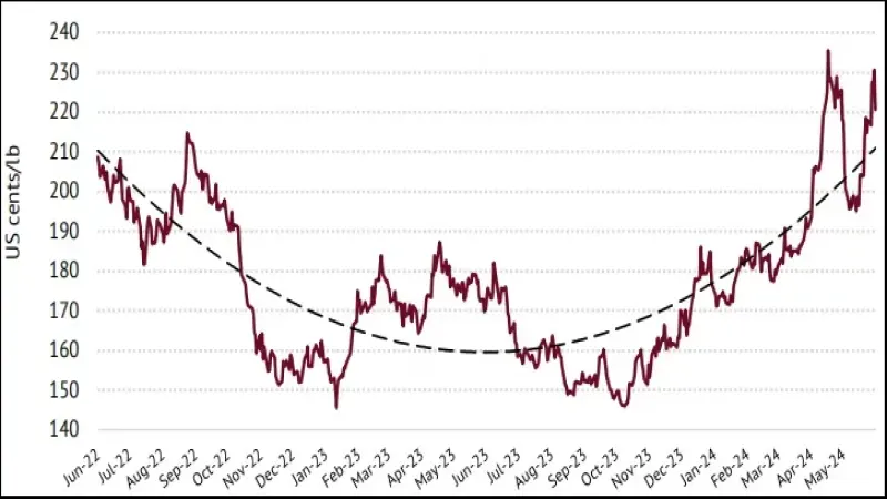 国际咖啡组织5月报告：全球咖啡产量预计达1.78亿袋，综合价格小幅回落