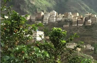 Origin of Mocha Coffee: Yemen's Port and Trade History