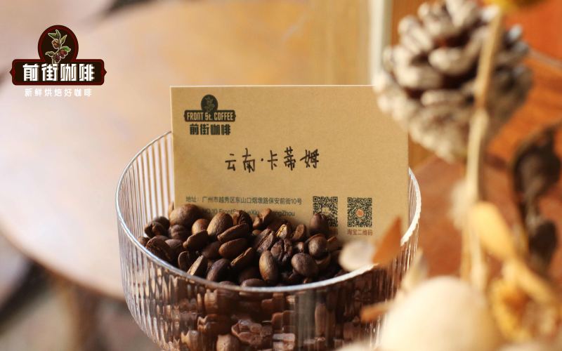 Yunnan Typica vs. Catimor Pour-Over Comparison: A Detailed Guide to Variety Characteristics, Growing Regions, and Brewing Parameters