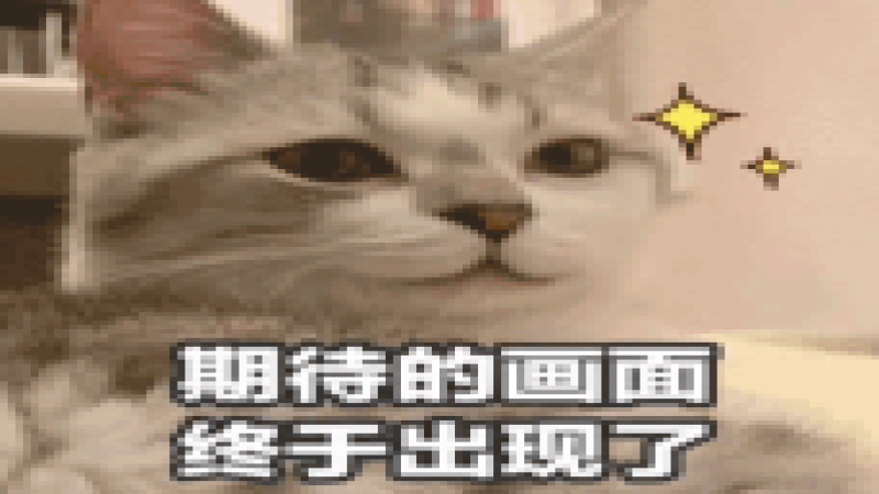 奈雪携手哈利波特推出学院限定饮品，联名周边发放引发粉丝不满