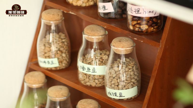 Jamaica Blue Mountain Coffee Bean Grading Standards, Price Positioning, and Blue Mountain No. 1 Flavor Analysis