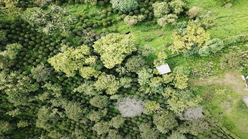 The Flavor Window of Cold Brew Coffee Beans: Opening the Bag and Drinking Rhythm