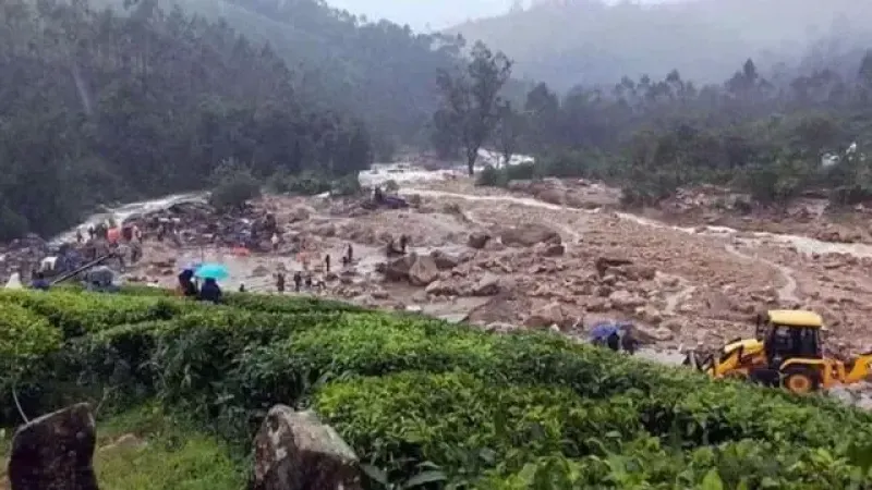 印度喀拉拉邦山体滑坡致358人遇难，咖啡主产区受灾或冲击新产季罗布斯塔供应