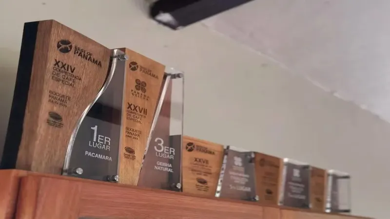 巴拿马詹森庄园瑰夏全解析：从家族传承到阿尔卑斯地块日晒风味