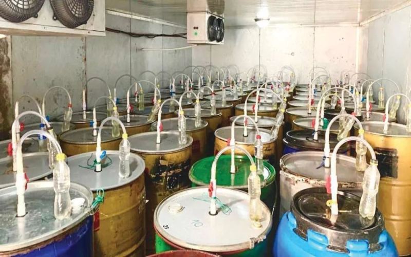 厌氧发酵处理法全解析：厌氧日晒、厌氧水洗与双重厌氧的工艺差异