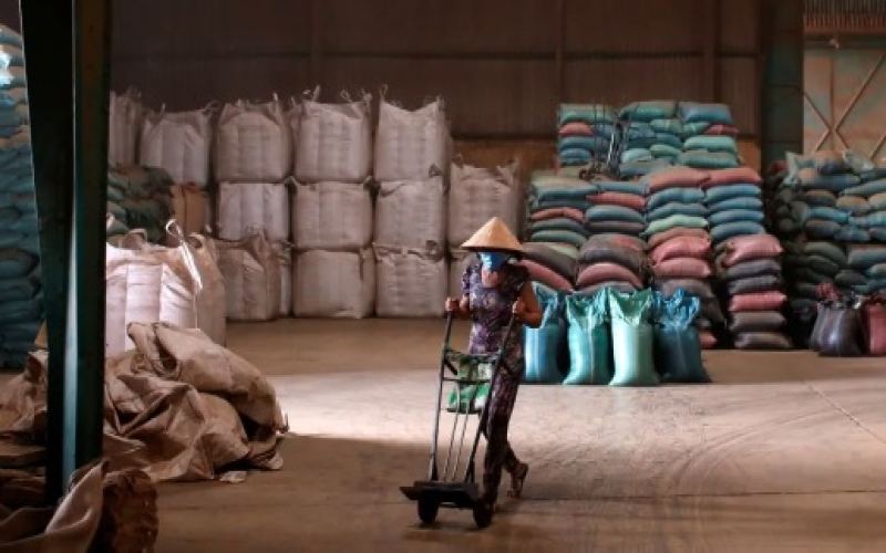 Ethiopian Central Bank System Becomes Obstacle for Exporters
