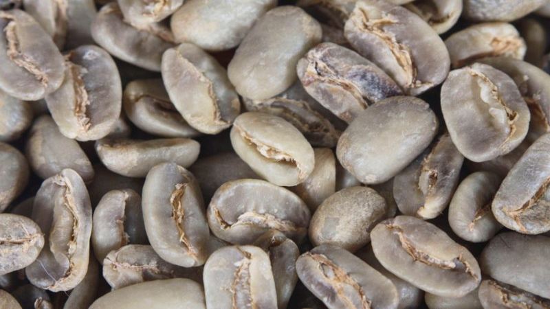 Choosing beans by roast level for home cold brew—just a simple soak is all it takes