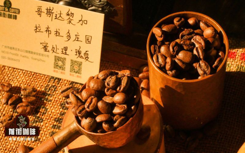 哥斯达黎加圣伊西德罗拉布拉多庄园：蜜处理瑰夏咖啡豆风味与冲煮解析