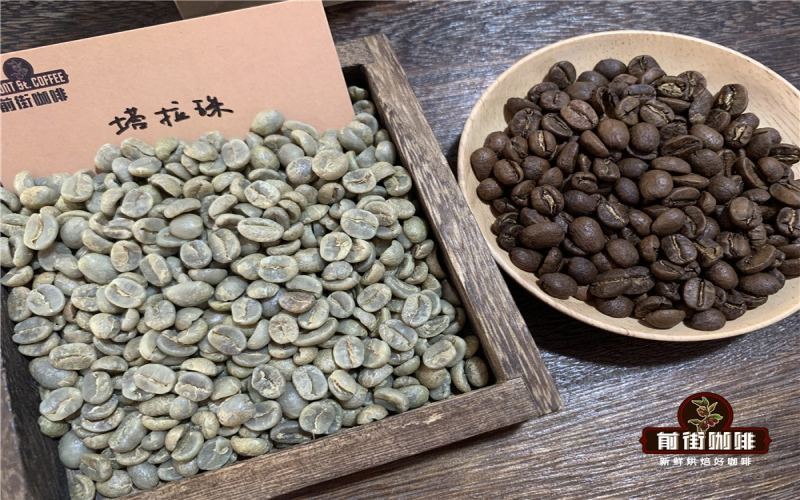 哥斯达黎加塔拉珠咖啡冲煮指南：产区特点、品种风味与手冲参数解析