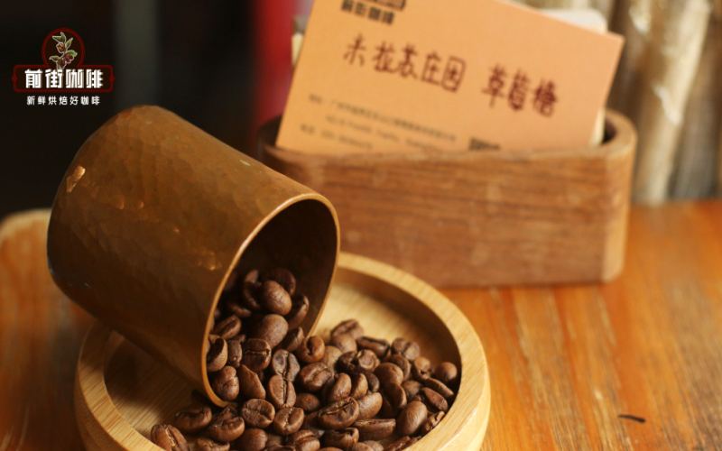 Water for Pour-Over Coffee Brewing | Can You Make Pour-Over Iced Coffee with Ice Water? Can Sparkling Water or Soda Water Be Used to Make Pour-Over Black Coffee?