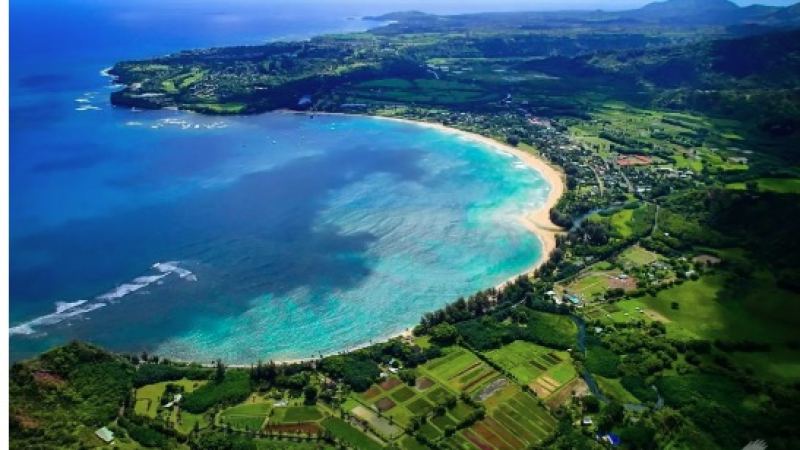 Kona Coffee: Why Hawaii's Kona Coffee Belt Grows It