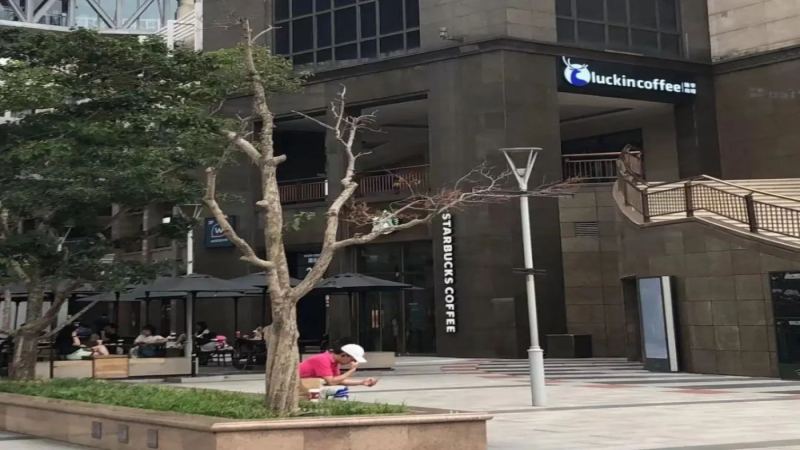 瑞幸门店紧贴星巴克布局：平价咖啡如何借势抢占商圈客流