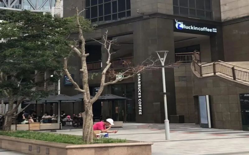 瑞幸门店紧贴星巴克布局：平价咖啡如何借势抢占商圈客流