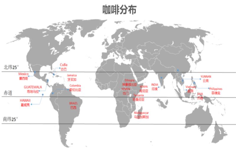 云南咖啡豆品种解析：阿拉比卡小粒种的风味特征与种植历史