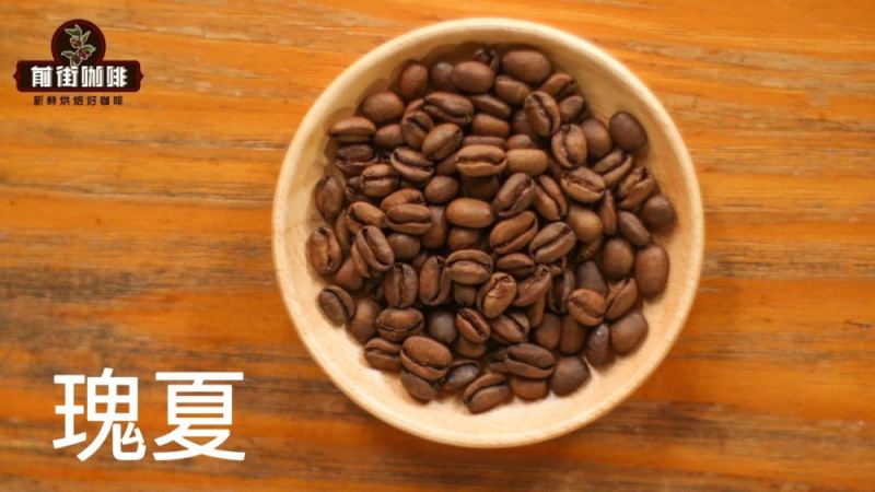巴拿马翡翠庄园绿标瑰夏日晒咖啡豆：风味特征、价格与手冲参数全解析