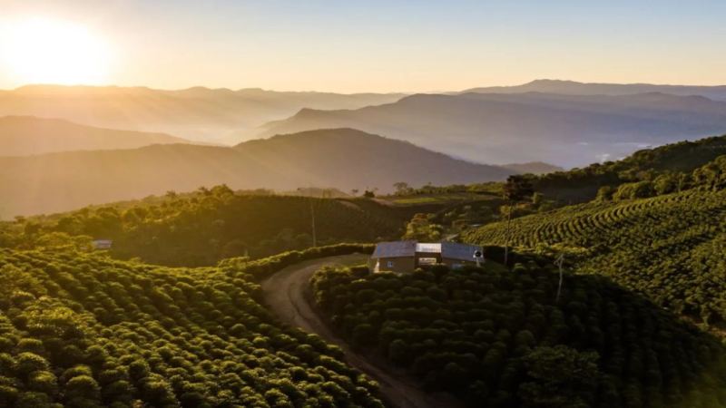 Underrated Pour-Over Origins Worth Trying: Bolivia, Papua New Guinea, and Yunnan