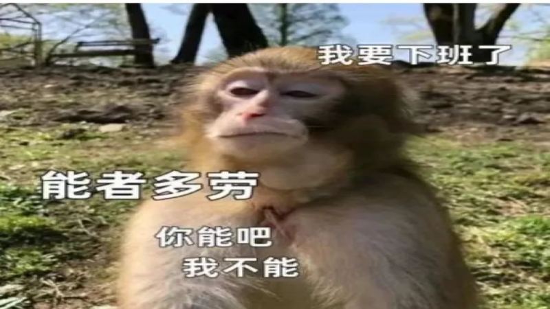 瑞幸推全量扫码打烊新规引发员工不满，操作繁琐频现系统故障