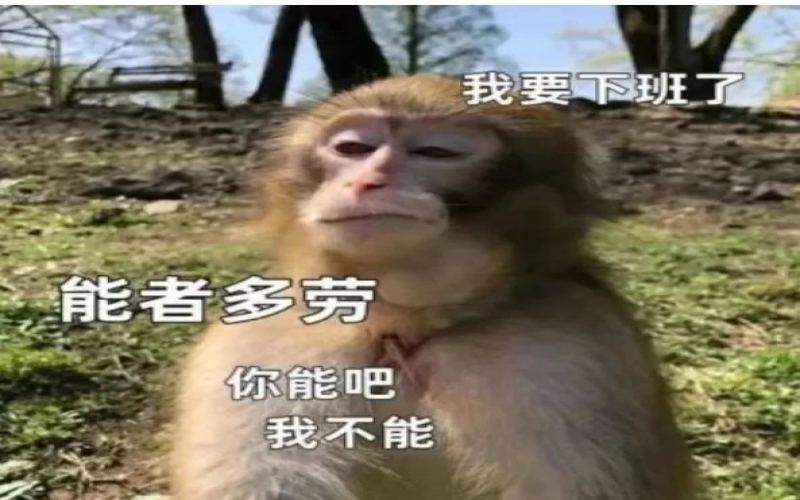 瑞幸推全量扫码打烊新规引发员工不满，操作繁琐频现系统故障