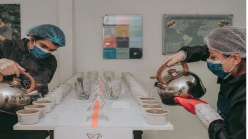 COE Coffee Competition: How Green Beans Are Scored