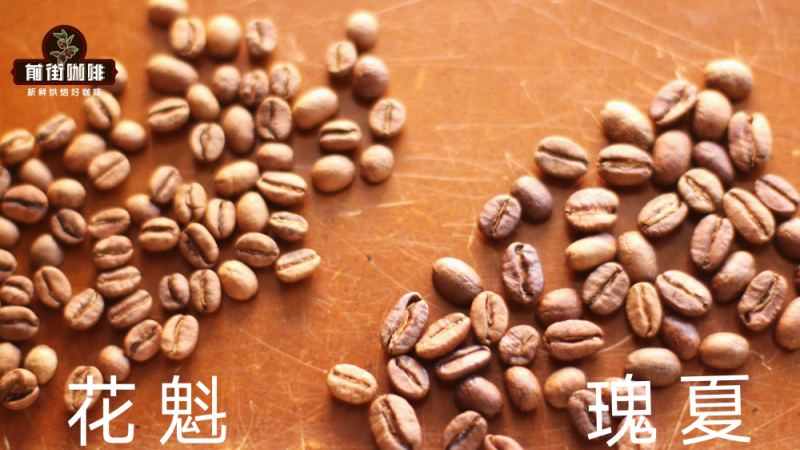 埃塞俄比亚罕贝拉产区花魁咖啡：从品种溯源到烘焙冲煮的完整解析