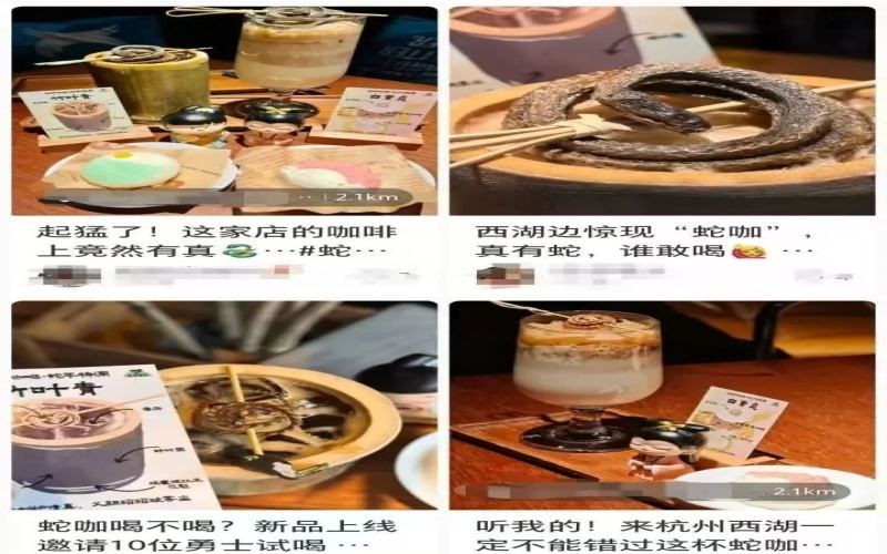 杭州咖啡店推出真蛇干装饰特调，白素贞与竹叶青引发热议