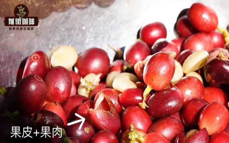 SOE from Roast Date to Opening the Bag: Seizing the Window When Aroma Is at Its Peak